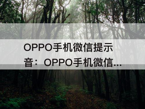 OPPO手机微信提示音：OPPO手机微信提示音打开还是没有声音只有振动