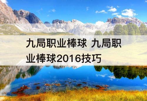 九局职业棒球 九局职业棒球2016技巧