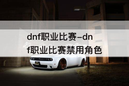 dnf职业比赛-dnf职业比赛禁用角色