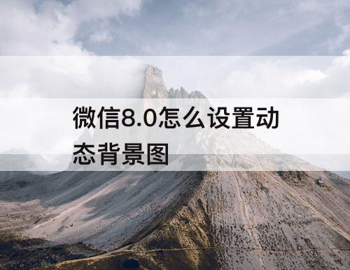 微信8.0怎么设置动态背景图