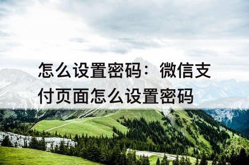 怎么设置密码：微信支付页面怎么设置密码