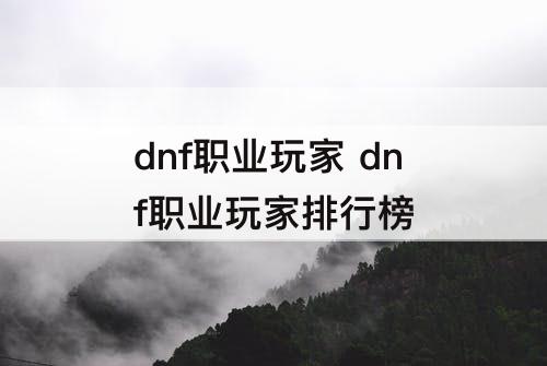 dnf职业玩家 dnf职业玩家排行榜