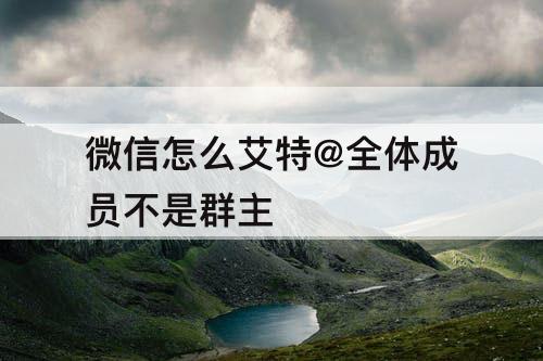 微信怎么艾特@全体成员不是群主