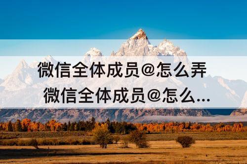 微信全体成员@怎么弄 微信全体成员@怎么弄视频