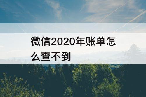 微信2020年账单怎么查不到