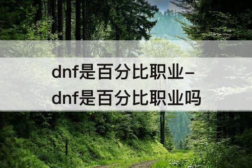 dnf是百分比职业-dnf是百分比职业吗