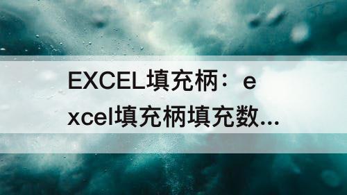 EXCEL填充柄：excel填充柄填充数据