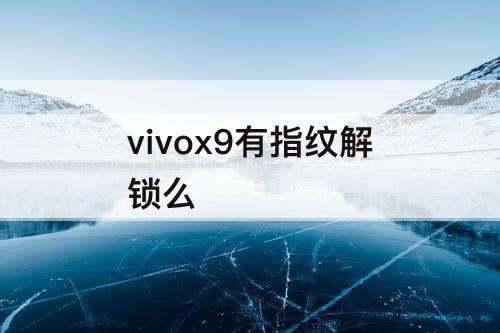 vivox9有指纹解锁么