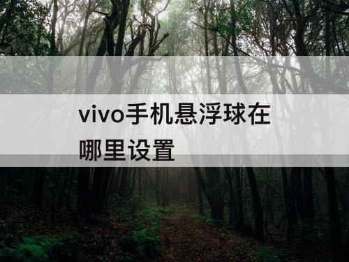 vivo手机悬浮球在哪里设置