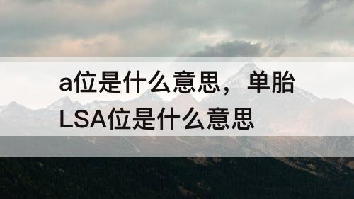 a位是什么意思，单胎LSA位是什么意思