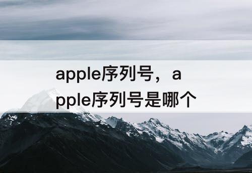 apple序列号，apple序列号是哪个