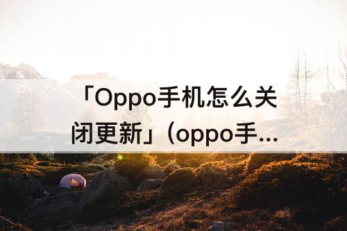 「Oppo手机怎么关闭更新」(oppo手机怎么关闭更新推送)