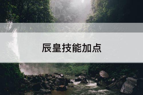 辰皇技能加点