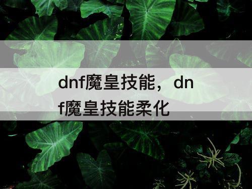 dnf魔皇技能，dnf魔皇技能柔化