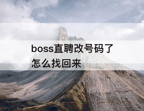 boss直聘改号码了怎么找回来