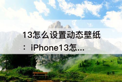 13怎么设置动态壁纸：iPhone13怎么设置动态壁纸