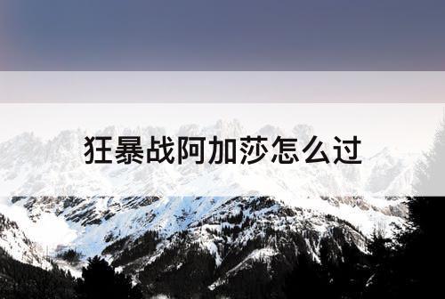 狂暴战阿加莎怎么过