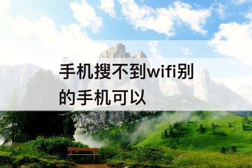 手机搜不到wifi别的手机可以