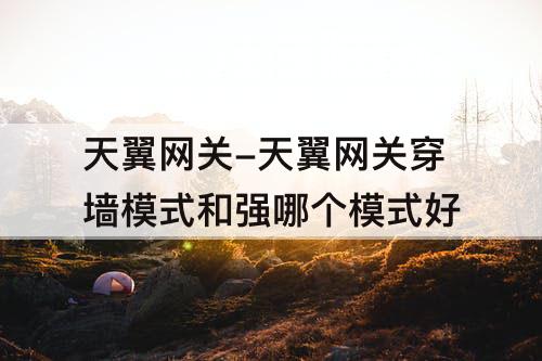 天翼网关-天翼网关穿墙模式和强哪个模式好