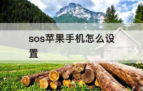 sos苹果手机怎么设置