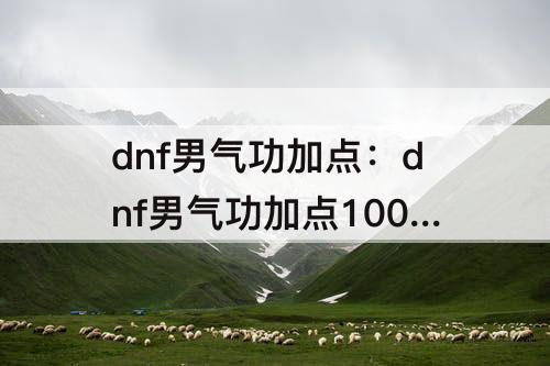 dnf男气功加点：dnf男气功加点100刷图