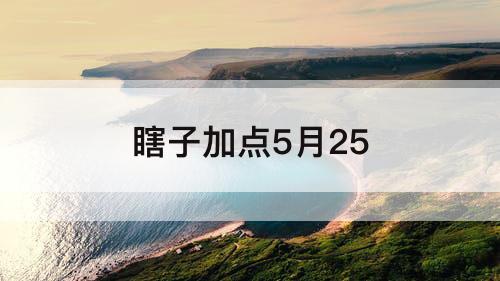 瞎子加点5月25