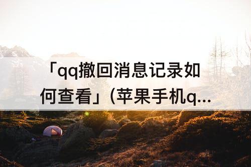 「qq撤回消息记录如何查看」(苹果手机qq撤回消息记录如何查看)