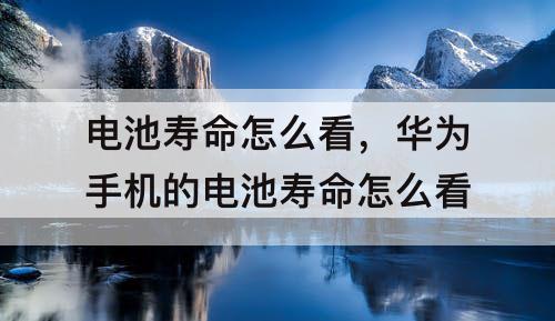 电池寿命怎么看，华为手机的电池寿命怎么看