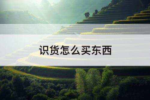 识货怎么买东西