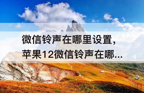 微信铃声在哪里设置，苹果12微信铃声在哪里设置