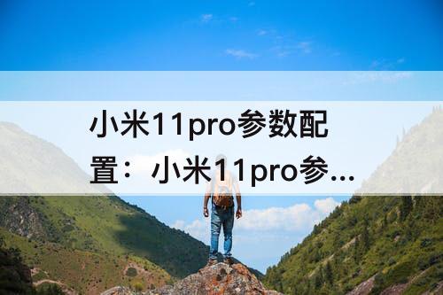 小米11pro参数配置：小米11pro参数配置截图