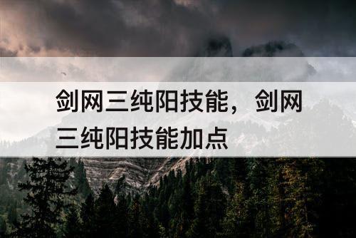 剑网三纯阳技能，剑网三纯阳技能加点