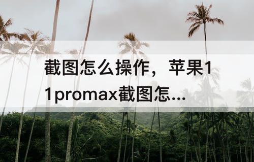 截图怎么操作，苹果11promax截图怎么操作