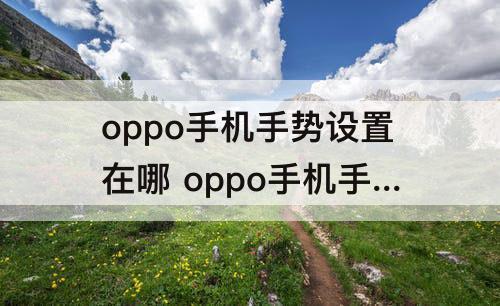 oppo手机手势设置在哪 oppo手机手势设置在哪里找