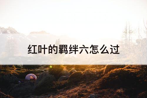 红叶的羁绊六怎么过