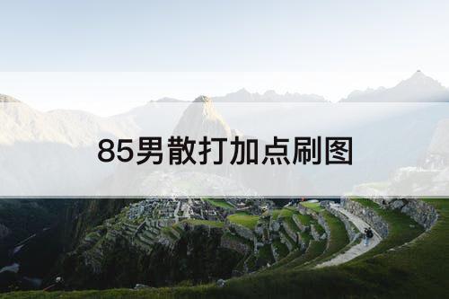 85男散打加点刷图