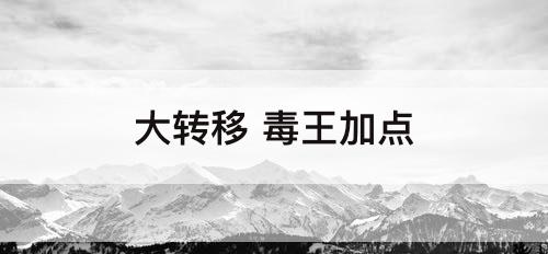 大转移 毒王加点