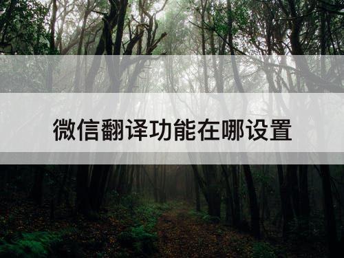微信翻译功能在哪设置