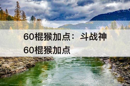 60棍猴加点：斗战神60棍猴加点