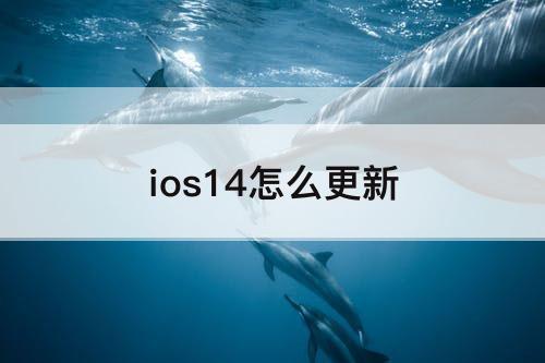 ios14怎么更新