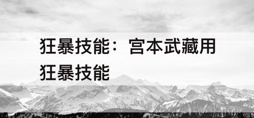 狂暴技能：宫本武藏用狂暴技能