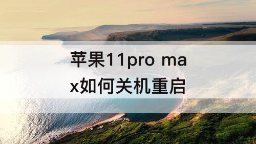 苹果11pro max如何关机重启