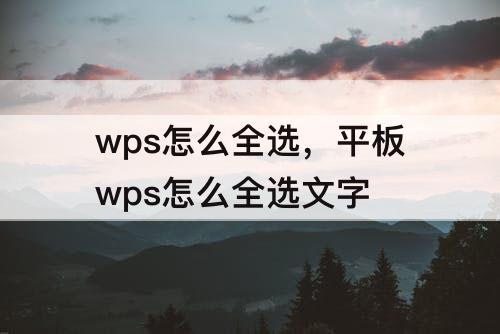 wps怎么全选，平板wps怎么全选文字