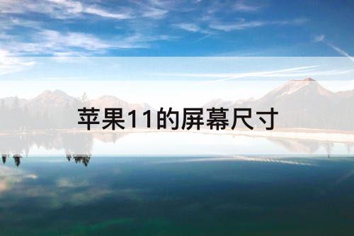苹果11的屏幕尺寸