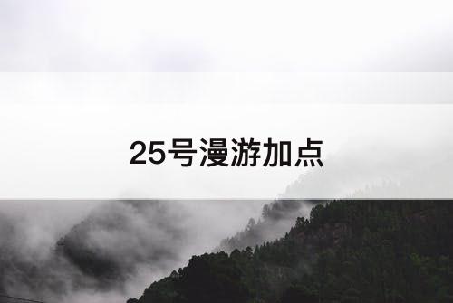 25号漫游加点