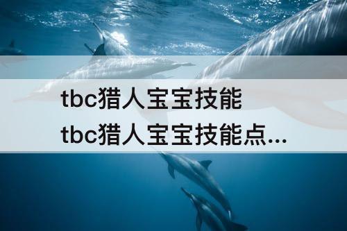 tbc猎人宝宝技能 tbc猎人宝宝技能点数