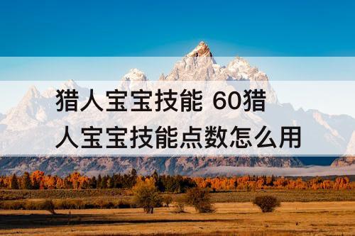 猎人宝宝技能 60猎人宝宝技能点数怎么用