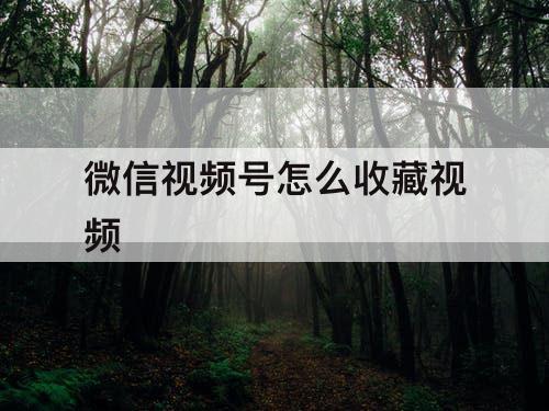 微信视频号怎么收藏视频