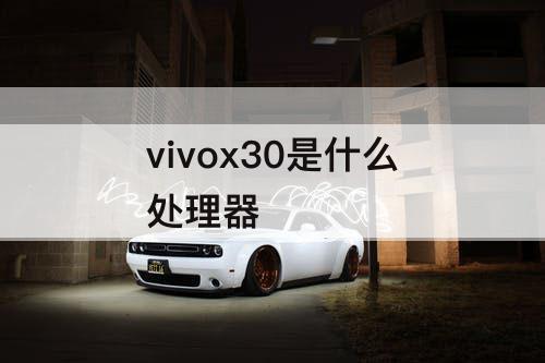 vivox30是什么处理器