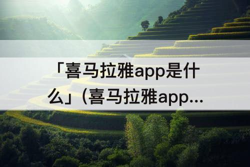 「喜马拉雅app是什么」(喜马拉雅app是什么颜色)